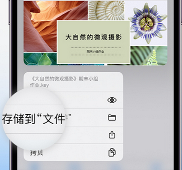 闽侯apple维修中心分享iPhone文件应用中存储和找到下载文件