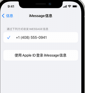 闽侯apple维修iPhone上无法正常发送iMessage信息 