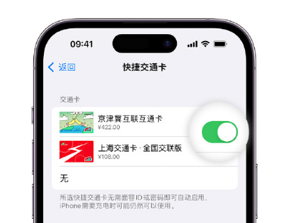 闽侯apple维修点分享iPhone上更换Apple Pay快捷交通卡手绘卡面 