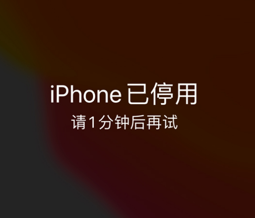 闽侯苹果手机维修分享:iPhone 显示“不可用”或“已停用”怎么办？还能保留数据吗？ 