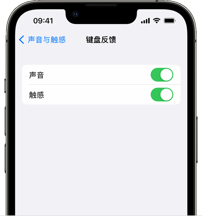 闽侯苹果14维修店分享如何在 iPhone 14 机型中使用触感键盘 