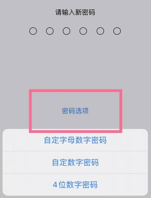 闽侯苹果14维修分享iPhone 14plus设置密码的方法 